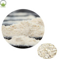 Direct sales ginseng powder root extract powder